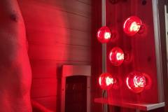 far-nir-sauna-conversion