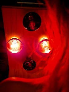 Red Light Sauna place picture